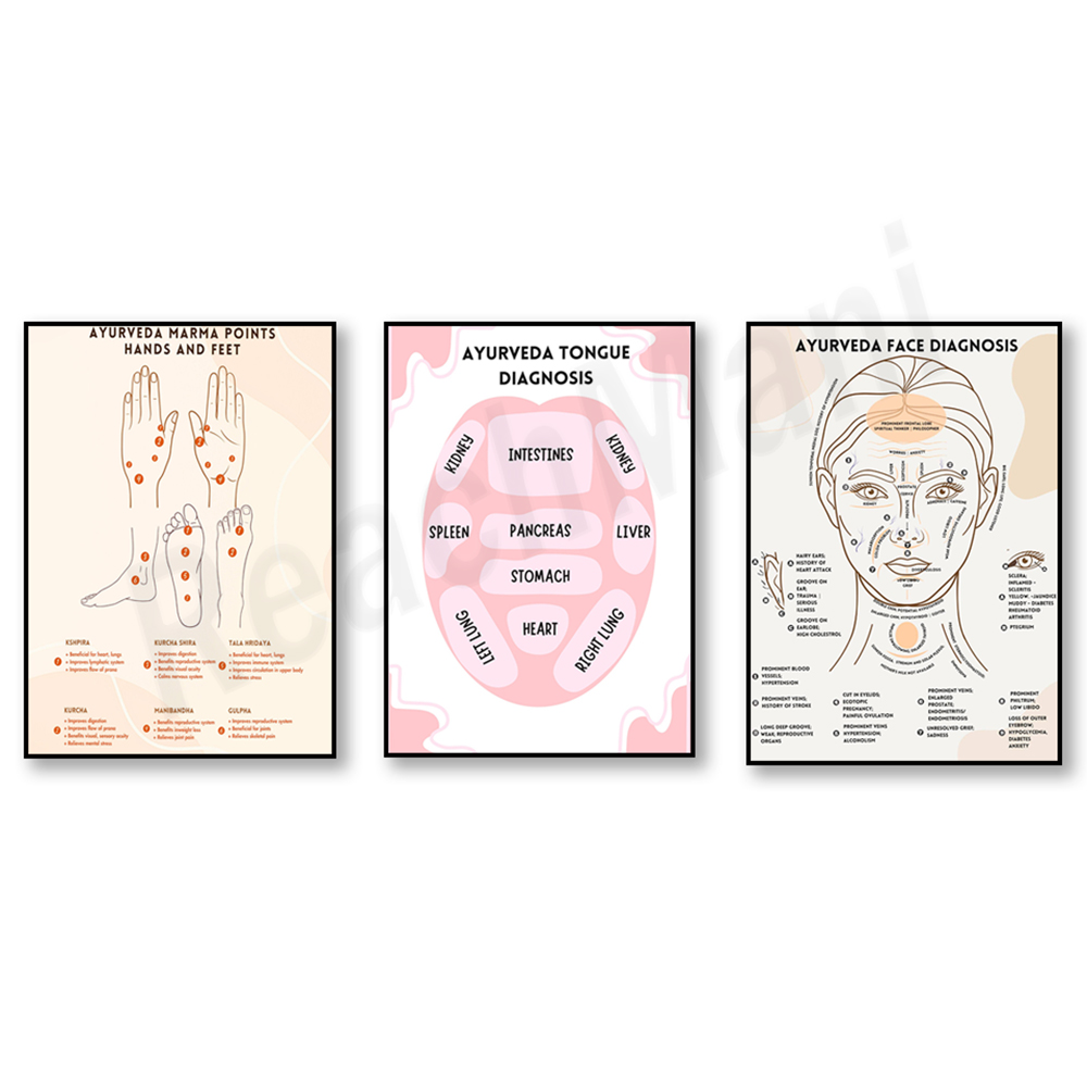 Ayurvedic energy chart, Ayurve - đánh giá và giá Ayurvedic & Herbal Wellness Kits