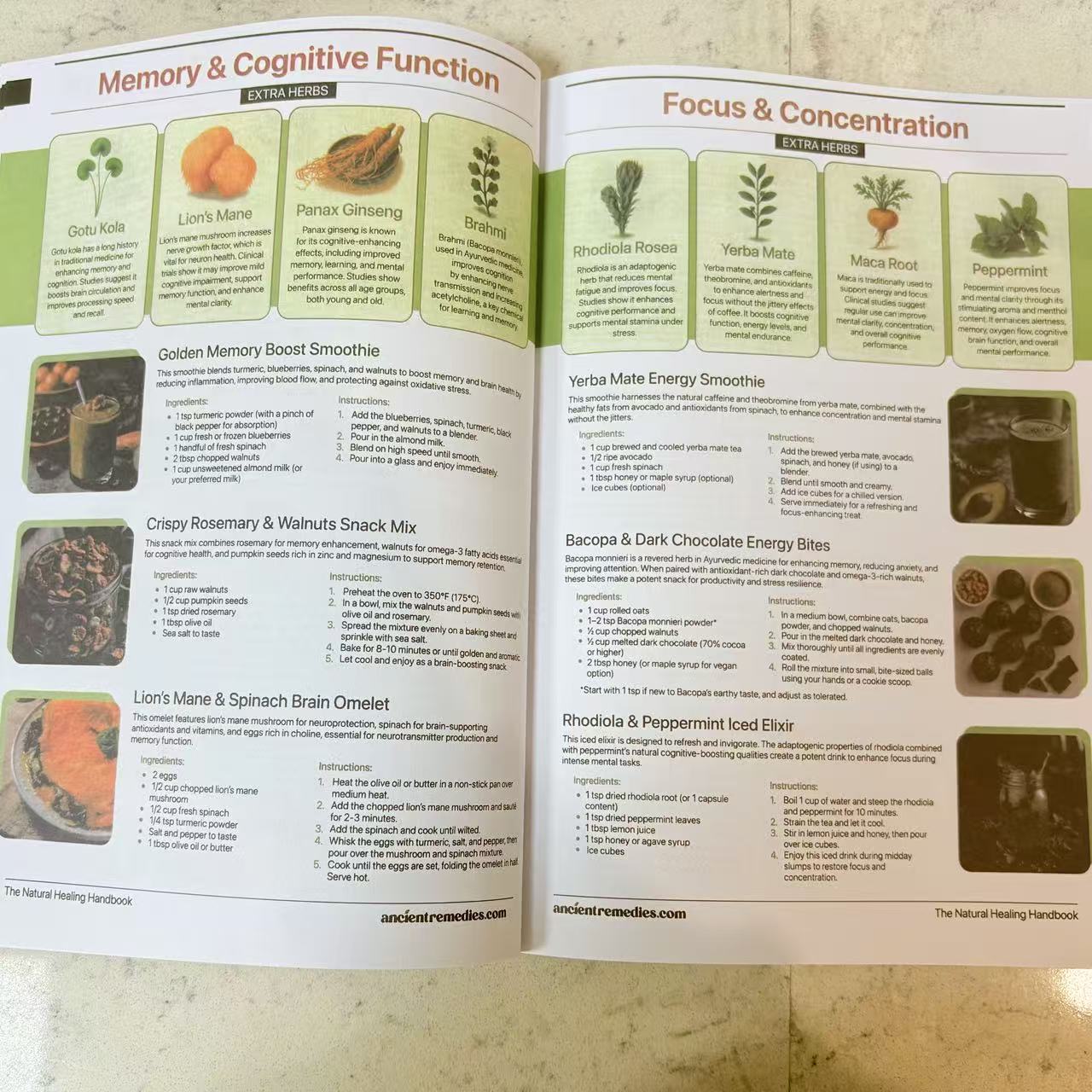The Natural Healing Handbook | - đánh giá và giá Herbal Holistic Wellness