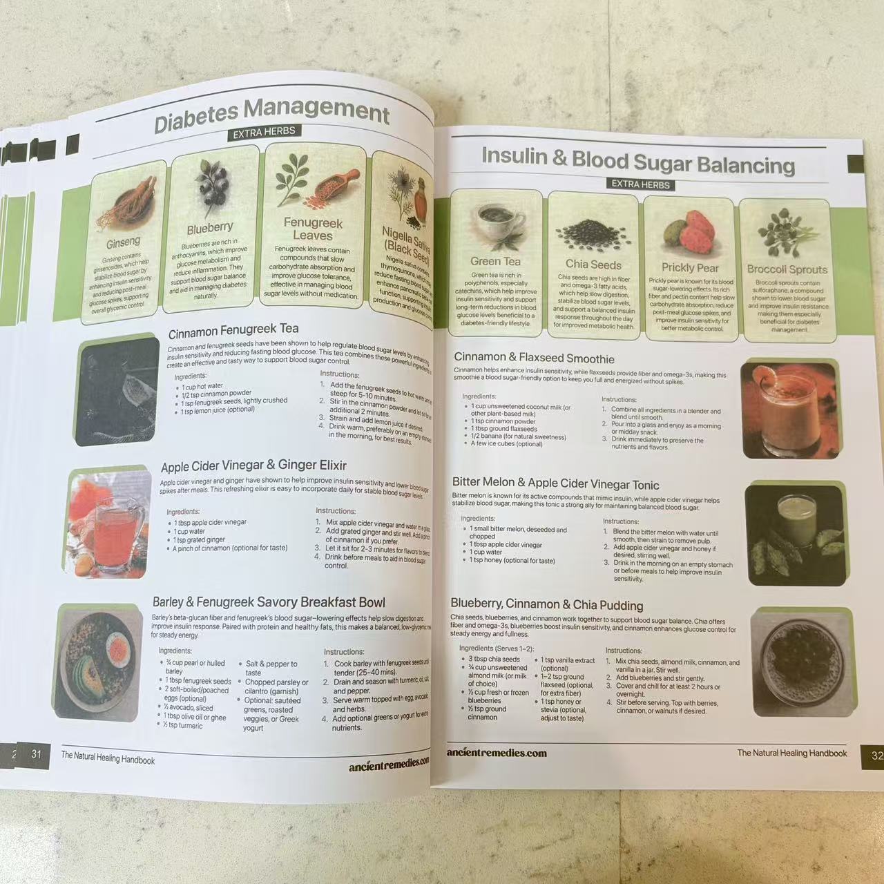 The Natural Healing Handbook | - đánh giá và giá Herbal Holistic Wellness
